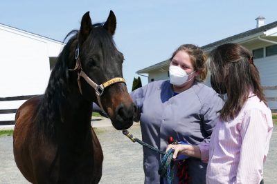 savion-owned-by-pam-oakley-whiting