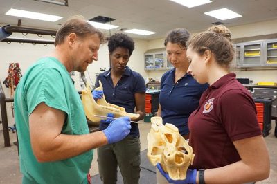 Dr. Brown teaching veterinary students