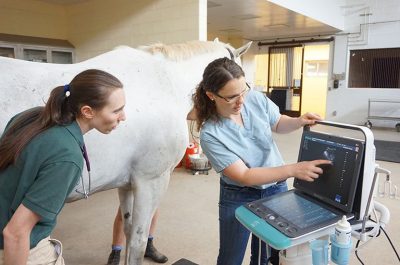 Care team members perform ultrasound at EMC