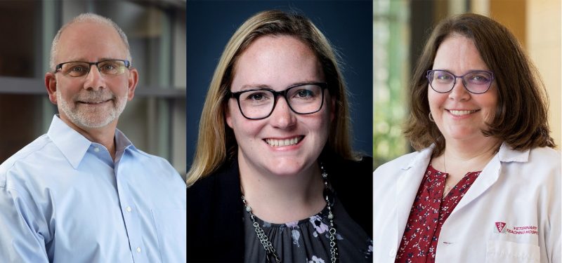 Headshots of Ken Opengart, Betsy Schroeder, and Jenny Marin.