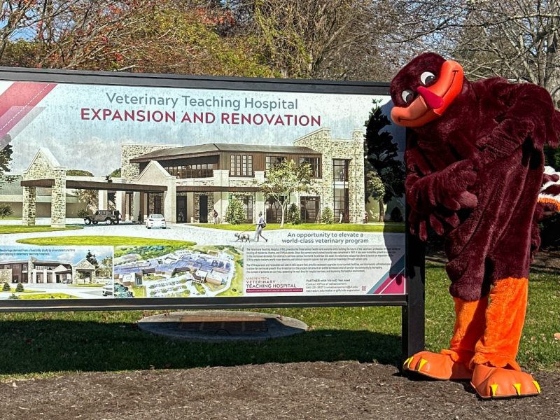 Virginia Tech's Hokie Bird mascot (at right) in front of the Veterinary Teaching Hospital Expansion and Renovation sign in front of the Virginia-Maryland College of Veterinary Medicine