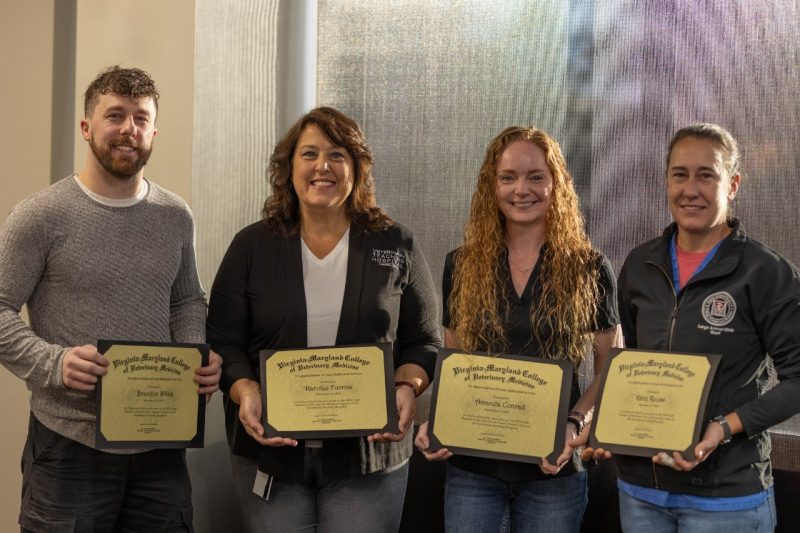 (From left) Brandon Willis, Karolee Furrow, Amanda Conrad, and Katie Reuss presented with their Staff Member of the Year 2024 awards from the Veterinary Teaching Hospital at the Virginia-Maryland College of Veterinary Medicine.
