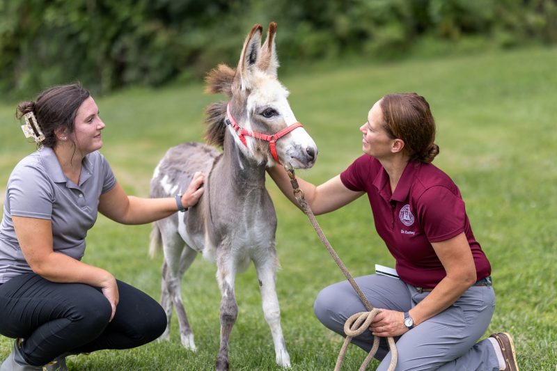 Elaine Claffey (at right) petting Harper. 