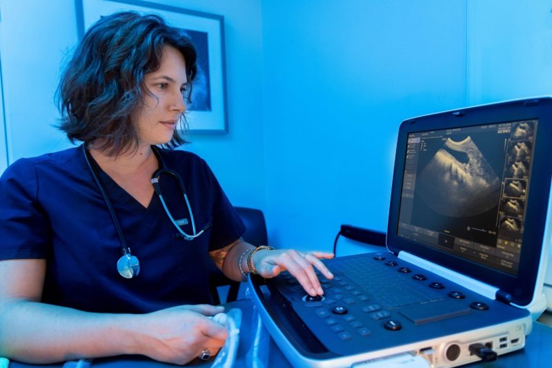 (At left) Dr. Erin Phoenix using the portable ultrasound machine purchased for the Veterinary Teaching Hospital