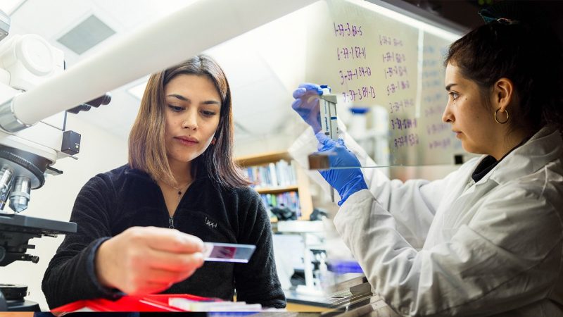Stefanie Guevara (at left) and Maria Francisca Valdes (at right) working the the laboratory.