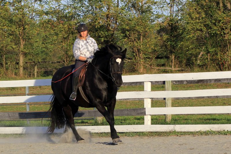 Sharon Peart riding one of her horse Wellington. 