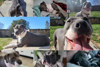 A collage of photos of Rocky Hernandez