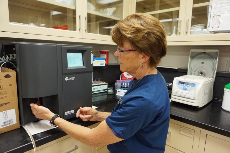 Karen Ingerson at work in the Equine Medical Center laboratory.