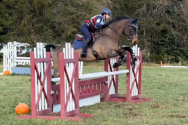 Hazel doing a jump at her first competition after treatment at the Equine Medical Center. 