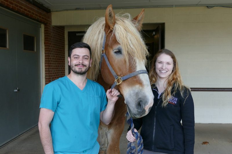 (From left) Resident Antônio Beck Júnior, King, and Elsa Ludwig, clinical assistant professor of equine surgery.