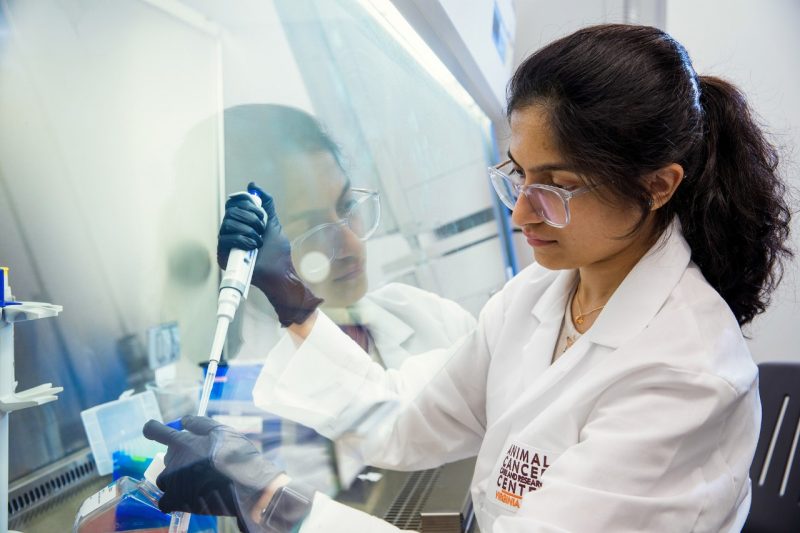 A lab technician working in the Comparative Oncology Research Laboratory at the ACCRC in Roanoke, VA.